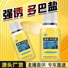 ��ា���}�|�I����~�D���a�����_���D���Tʳ���ڿ�Ұ���~Сș