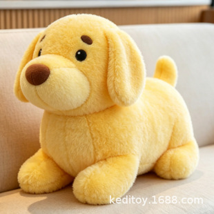 �ɵ������ʿ�湫��̩�Ϲ�ë�q��ߒ�����������������Ů�ѶY