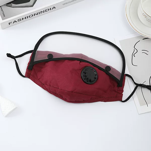 Dust-Proof and Wind-Proof Kitchen Special Anti-Oil Fume Mask, Cycling Goggles, Cooking Splash-Proof Face Protection, Full Face Protective Mask