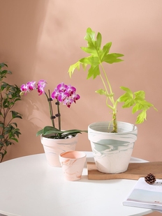 Natural Blue and White Clay Macchiato Flower Pot Plain-Fired Breathable Orchid Small Succulent Fern Phalaenopsis Potted Pot