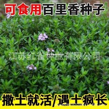 ���l������N�ӿ�ʳ������ţ������{ζ��ɽ������������̨����