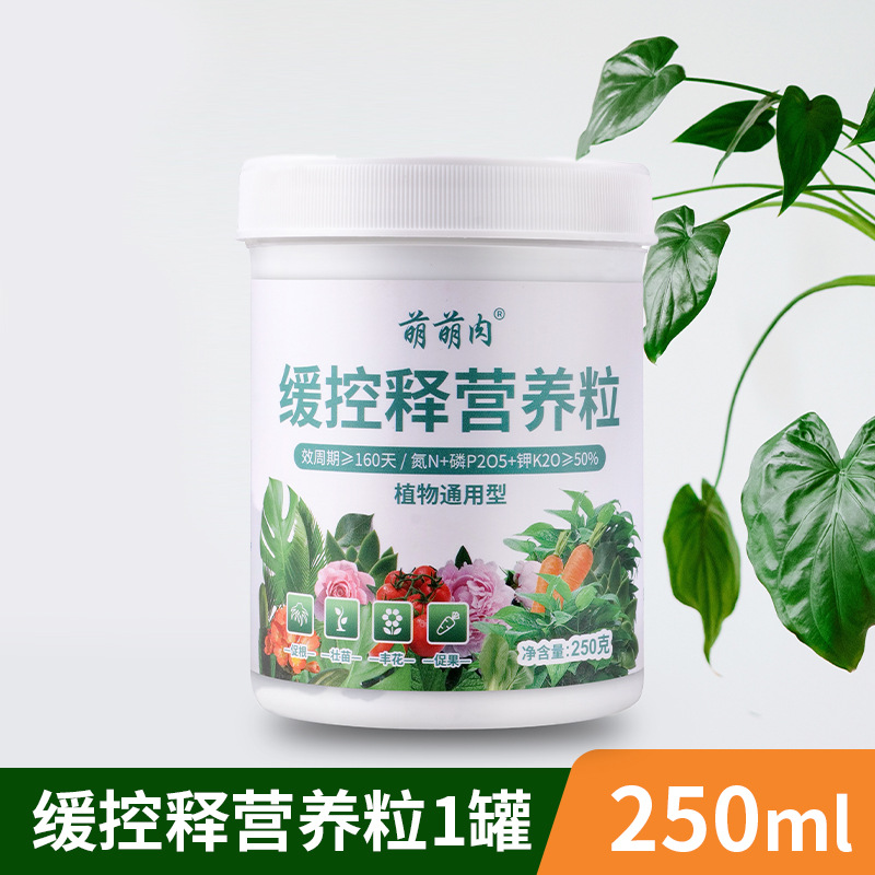 완속 방출 영양 과립 250g