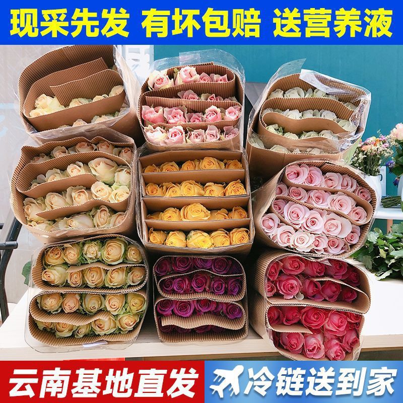 云南鲜花基地直发玫瑰花花束便宜花材直批水养家庭插花玫瑰亚马逊