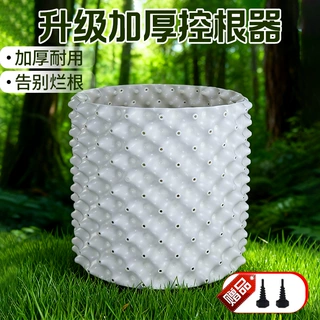 厂家定制蓝莓种植盆植物控根器植树专用围树板花盆白色加厚控根器