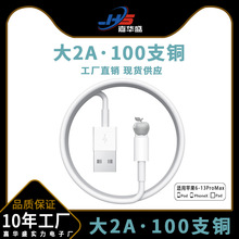 �m���O��������iphone11/X/6/7/8/ipad���늾����lusb�֙C�����L