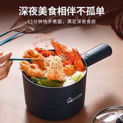 110V American standard small electric cooker for dormitory students, multi-functional household noodle cooking, small hot pot, mini electric cooker all in one