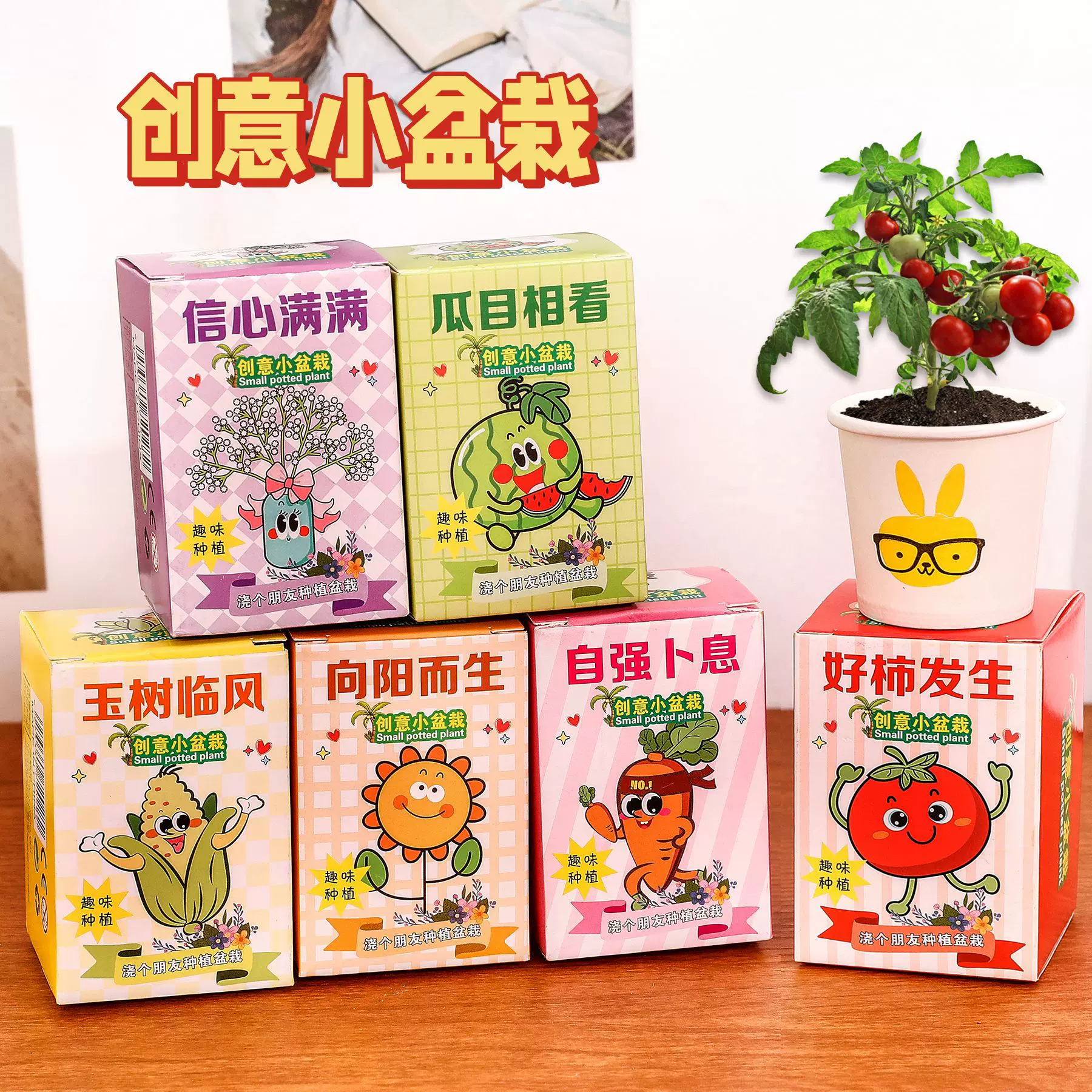 儿童种植盆栽幼儿园礼物观察植物生长小盆栽桌面绿植学生创意礼品