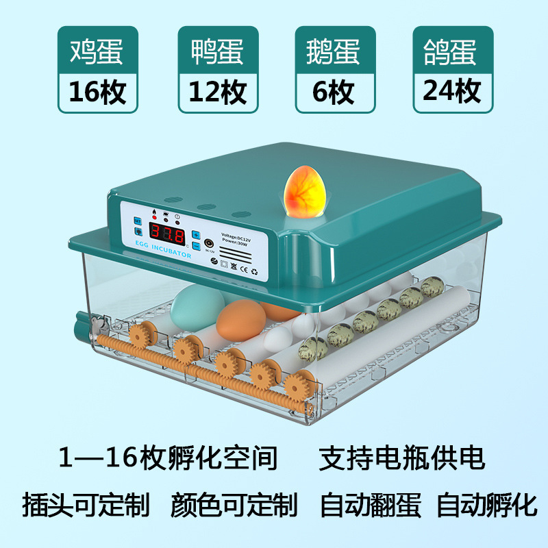 家庭用孵化器ひよこ孵化器小型家庭用孵化機全自動知能鶏鴨ガチョウ鳩孵化機|undefined