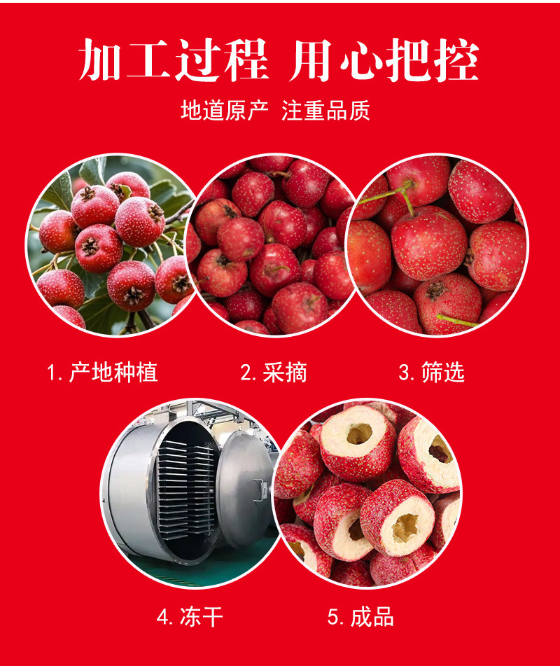 Freeze-Dried Hawthorn Berries (Crataegus pinnatifida) — Whole Seedless Shan Zha Fruit Tea preparation