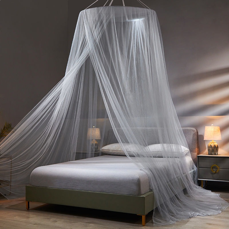 Gris -