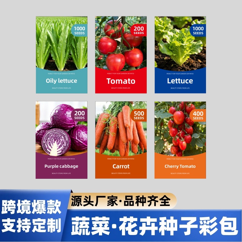 跨境热销蔬菜种子彩色包装水果小包装种子可制作电商外贸花卉种子