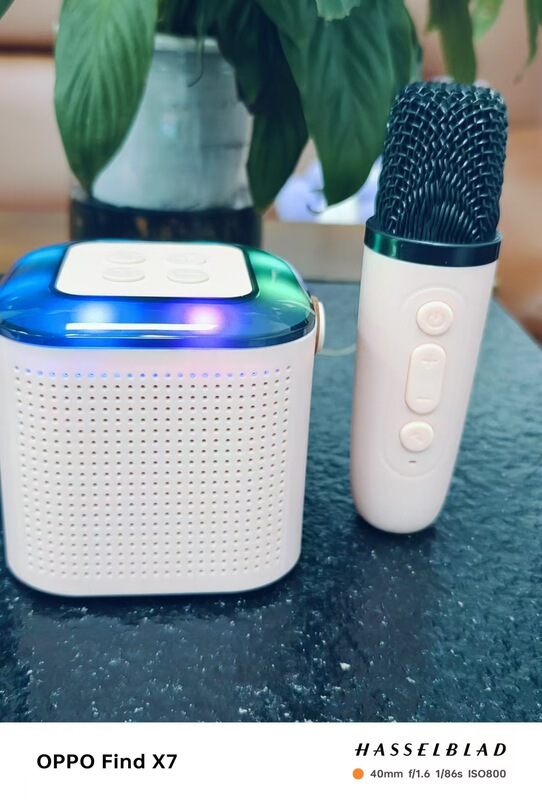 Y1ブルートゥースオーディオk歌一体屋外ホームパーティーセット無線マイクマイクミニbluetoothスピーカー|undefined