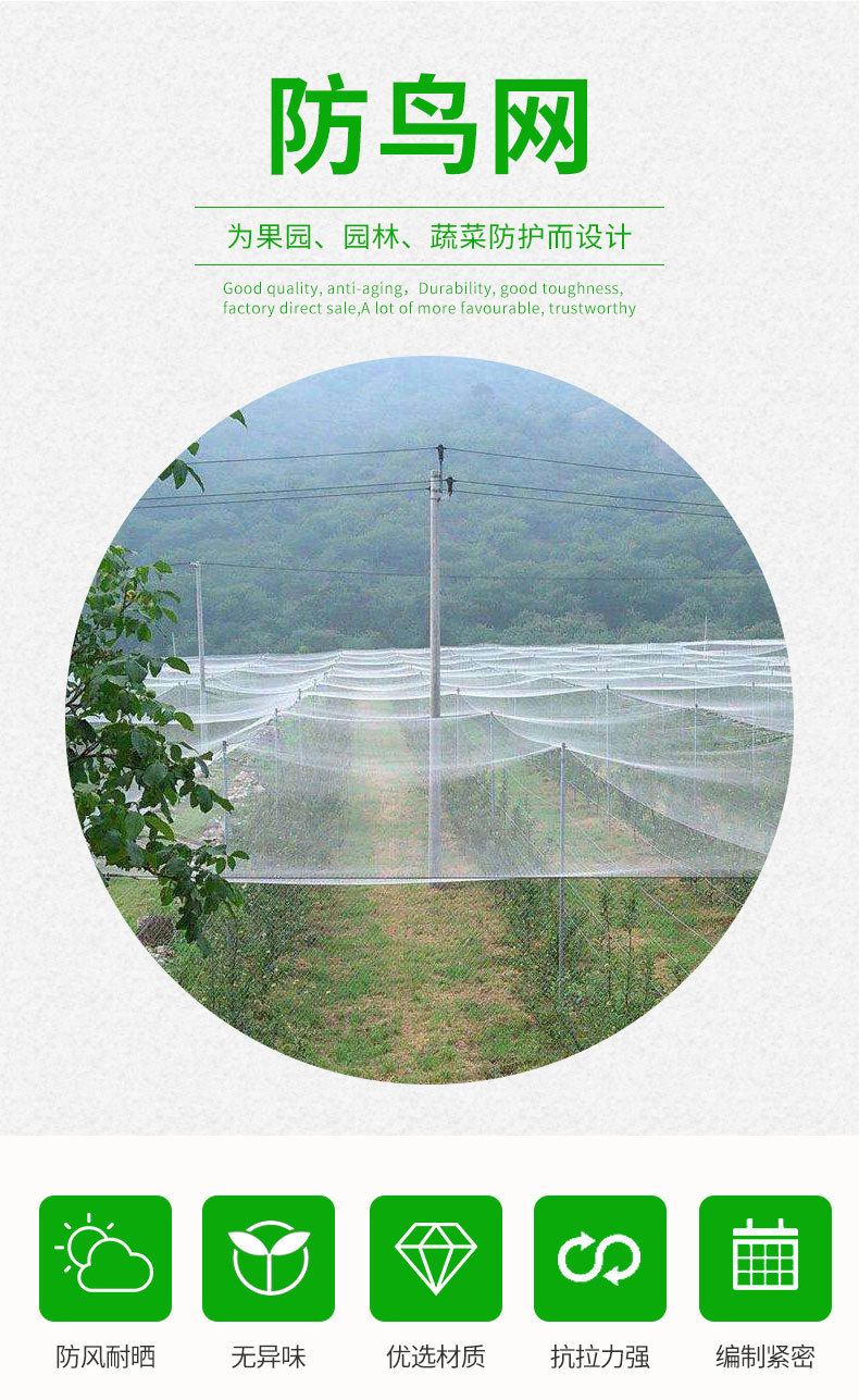 防鸟网稿件套版_03.jpg