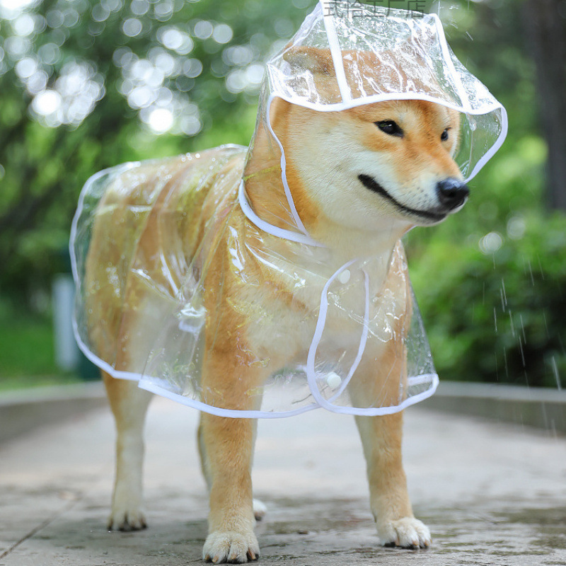 Transparent Puppy Raincoat for Large and Medium-Sized Dogs Samoyed Teddy Bichon Golden Retriever Cat Clothes Pet Clothes Supplies