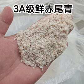 淡盐大片赤尾青战神冷冻鱼饵台湾五福罗非饵料散炮罗非鱼专用