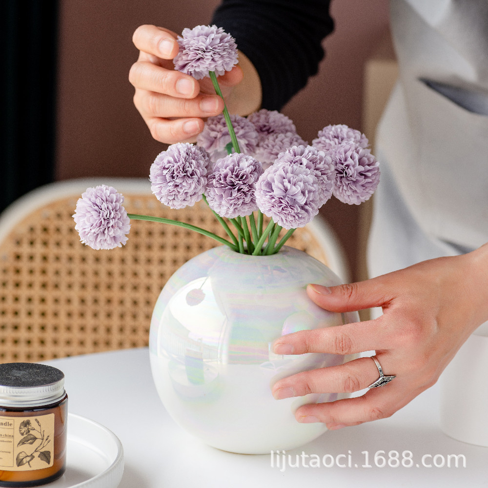 Jarrón de cerámica para plantas hidropónicas, decorativo