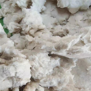 Direct Supply from Manufacturers of Recycled Paper Pulp, Coniferous Pulp, White Pulp, Dry Pulp, Pulp Boards, Paper Pulp, Virgin Wood Pulp, Large Quantities and Excellent Prices