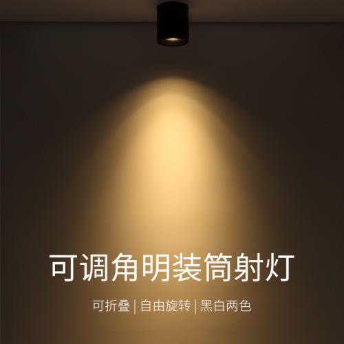 Clear ceiling spotlights with adjustable angles, LED ceiling lights for living room, household ceiling pendants, round tubes, for shops and businesses, track lights