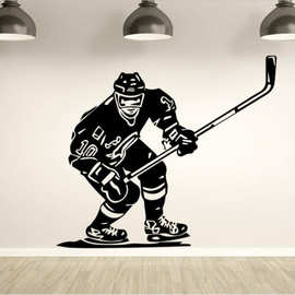 puck冰球曲棍球hockey运动wall decor跨境亚马逊ebay速卖通DW3038
