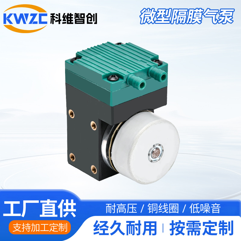 51-01MP-BLDC 微型隔膜气泵高压无泄漏微型泵电动气动高压柱塞