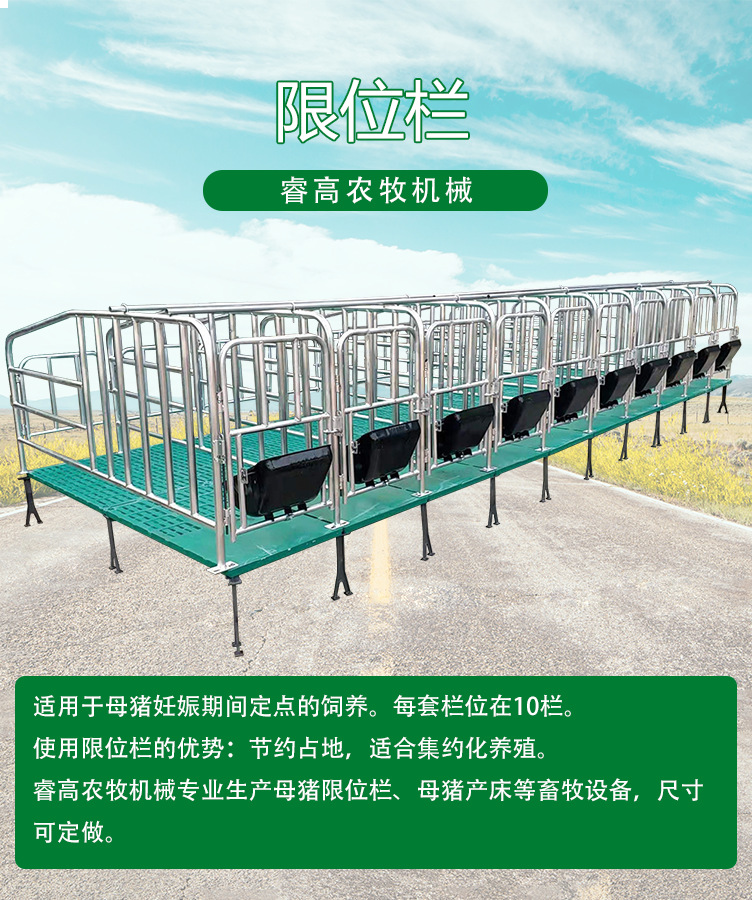 生产2.5整体热镀锌管母猪定位栏70厘米宽猪位带料槽育肥定位栏-阿里巴巴