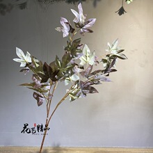 ���淬���~��ɽ���~��ɫ���~��И�֦���ܗ��~ܛ�b�[�Ż����~����