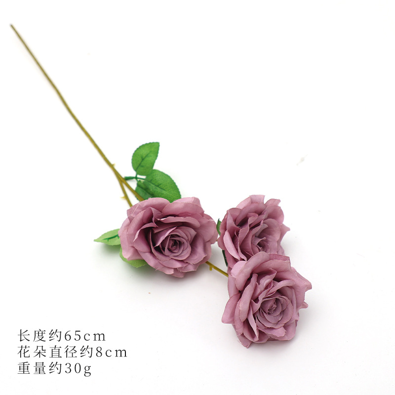 라벤더 퍼플