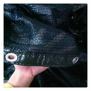 CE�J�CBSCI���S��߅���ͥԺ���ھW �����[˽�W�h���ړ����ھW