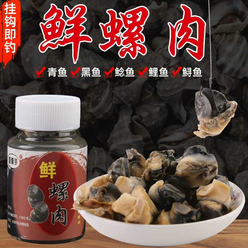 Рыбалка Blood Snail Bait Свежая приманка для улиток Кровь Шелкопряд Винтовая приманка Приманка Специализируясь на траве Карп Черный сом Приманка