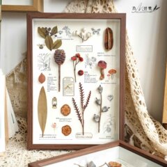 植物標本額縁、家の装飾品、レトロなドライフラワー、プリザーブドフラワー、装飾画、多用途なテレビ背景壁セット