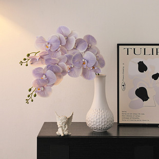 ���s�׺��մɻ�ƿɫ�Ըߜ؟��ƺ����m���滨ˇ��ɻ��ٻ��[���b�