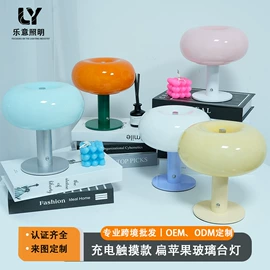 装饰台灯;充电台灯;落地灯