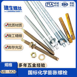 国标化学螺栓镀锌锚栓膨胀螺丝药水套装M8M10M12M14M16M18M20M24