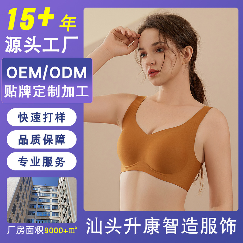 Underwear for Women with Small Breasts, Push-Up, Anti-Sagging, Wire-Free All-In-One Vest Sports Bra, Breathable, Protective, Breathable and Comfortable
