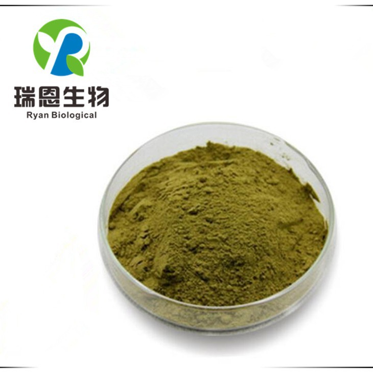 菠菜提取物20:1菠菜浓缩提取粉TLC检测棕色粉末1KG起订免邮