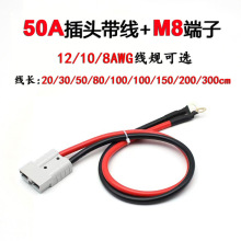 12/10/8AWG���z�� 50A ���^늄Ӳ�܇��늳س�늲��^�ƿ�B����