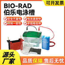 宝派一级代理美国伯乐BIO-RAD小型垂直电泳槽电泳仪转印槽现货