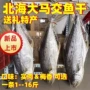 北海特产咸鱼干马鲛鱼马友鱼