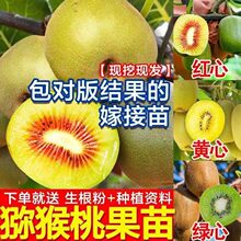 �޽ӫJ������t������ܛ���J��������Ԯ���Y���ϱ����Nֲ������