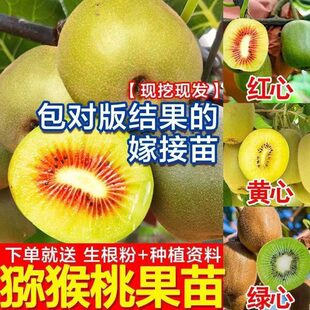 �޽ӫJ������t������ܛ���J��������Ԯ���Y���ϱ����Nֲ������