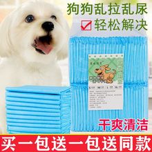 买一送一宠物尿垫狗狗竹炭一次性尿片泰迪除臭吸水垫猫尿不湿防水