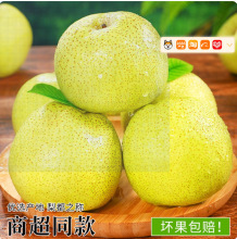 梨都砀山梨子正宗砀山酥梨当季水果新鲜9斤皮青梨皇酥梨整箱应香