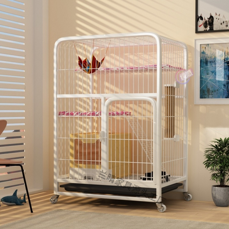 12b8f6e6-e503-4c6c-a94e-c23027938e09.jpe