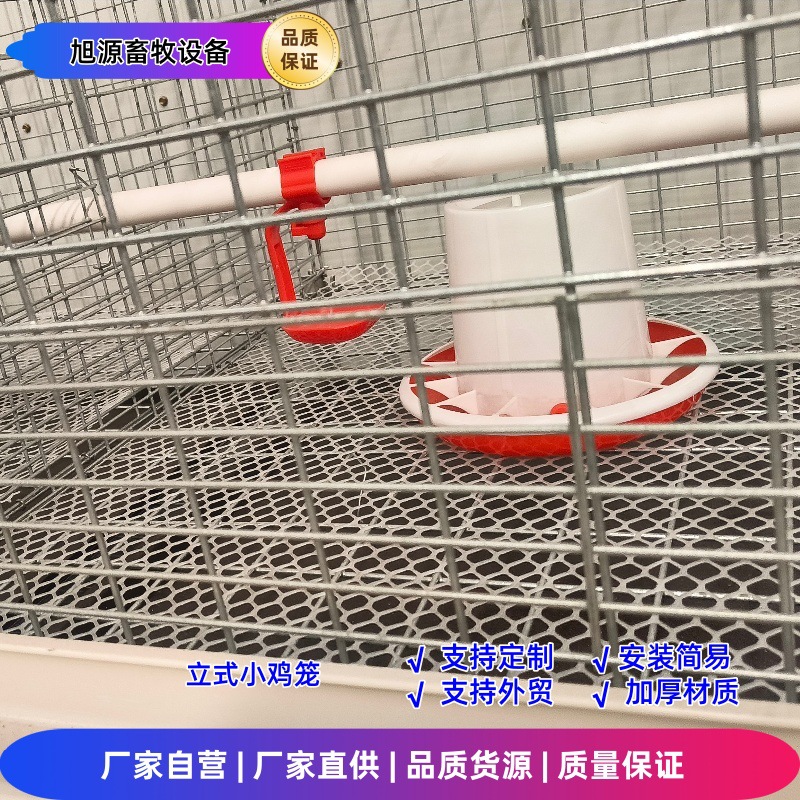 四层两门小鸡笼育雏笼 加粗加密镀锌防锈笼网育雏笼
