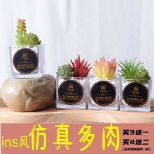 北欧多肉植物小盆栽摆件假绿植装饰仙人掌客厅办公室桌面摆设