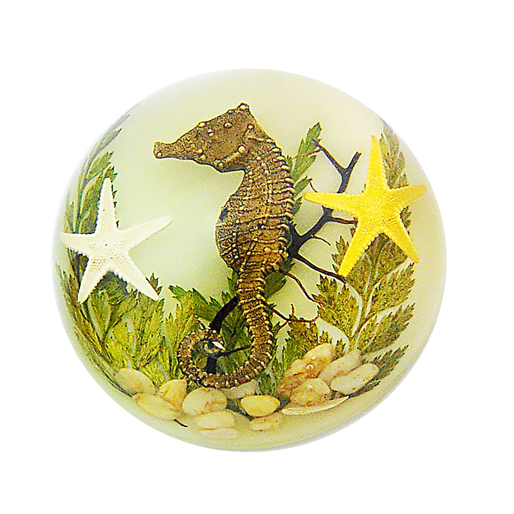 Luminous Bottom Seahorse Seascape [Bubble Bag Simple]