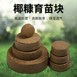 1 cat grass meat coconut chaff nutrient soil nutrient block compressed pure coconut chaff soil medium vegetable planting pure imported raw