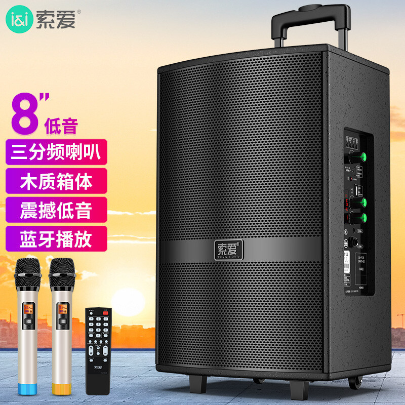 소니 에릭슨 SA-X21 8 인치 고성능 서브 우퍼 스퀘어 댄스 오디오 모바일 홈 야외 K 노래 블루투스