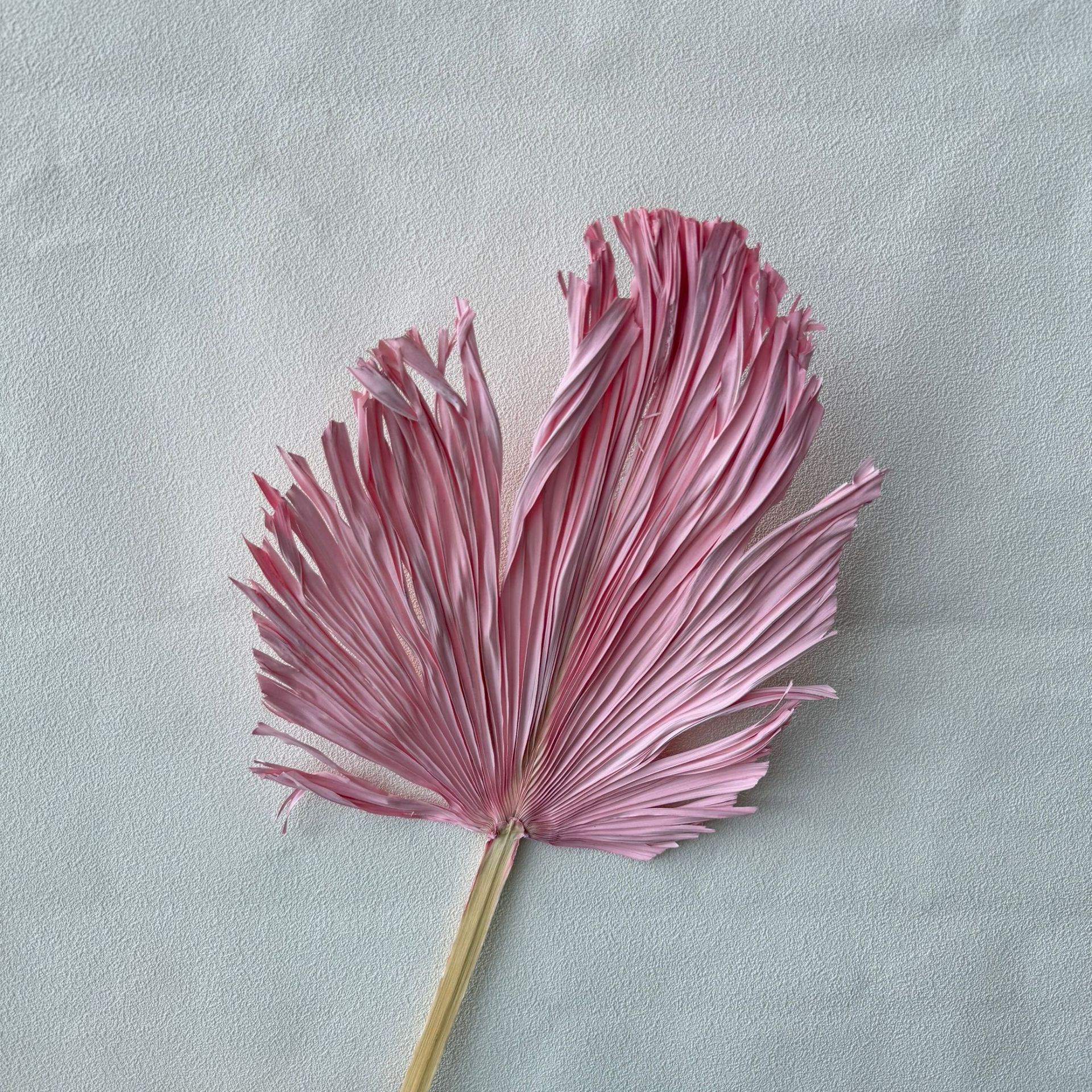 미디엄 트리밍 벚꽃 파우더