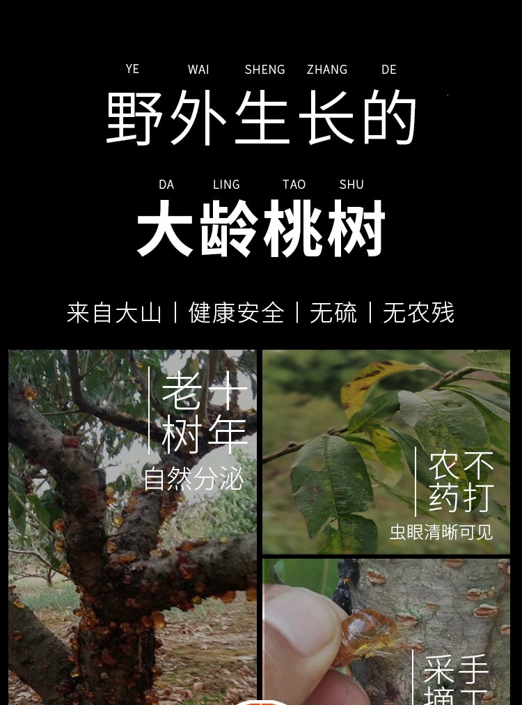 Peach Gum Tao Jiao 桃胶 Natural Resin Granules Large Clean Pieces for Dessert Soups and Milk Stews 500g overview